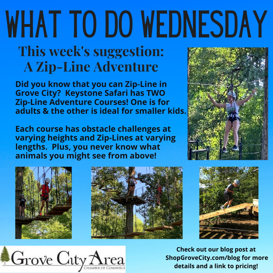 What To Do Wednesday: A Zip-Line Adventure