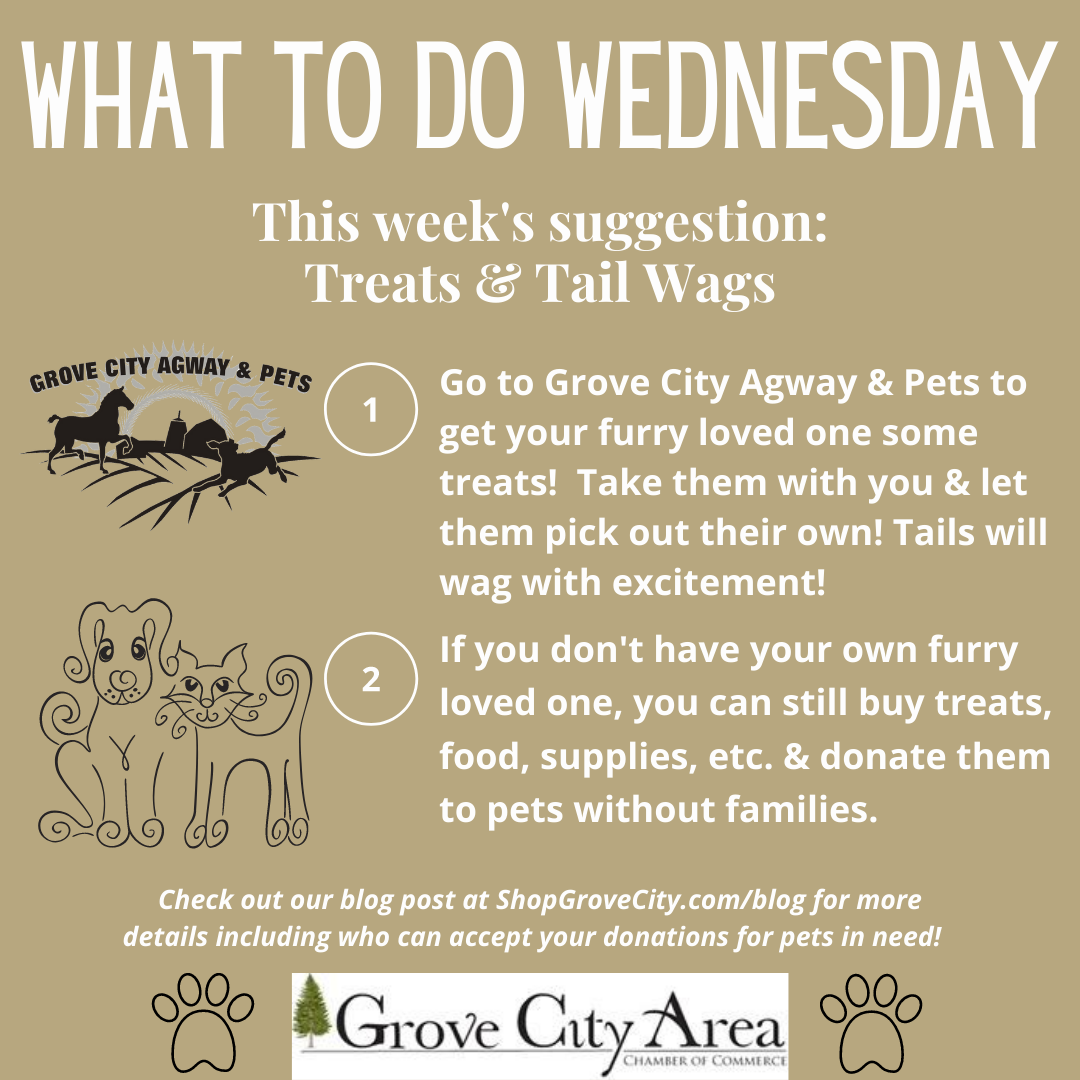 What To Do Wednesday: Treats & Tail Wags