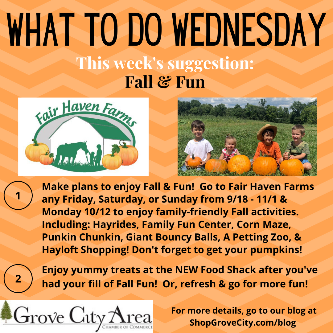 What To Do Wednesday: Fall & Fun