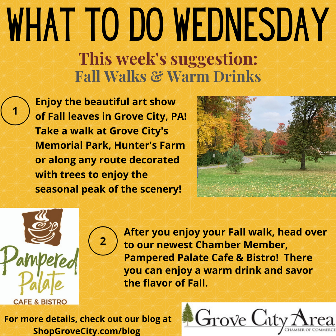 What To Do Wednesday: Fall Walks & Warm Drinks