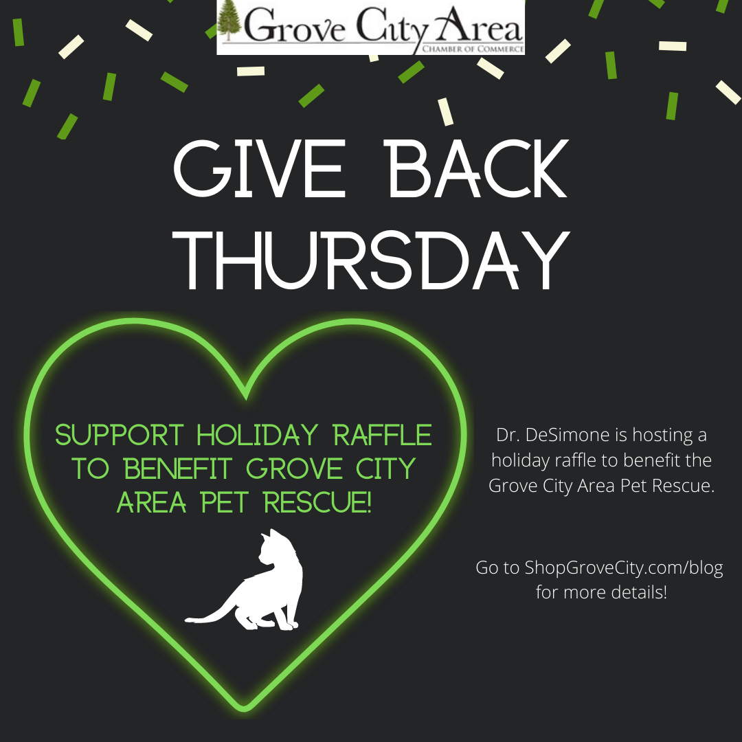 Give Back Thursday: Support Holiday Raffle