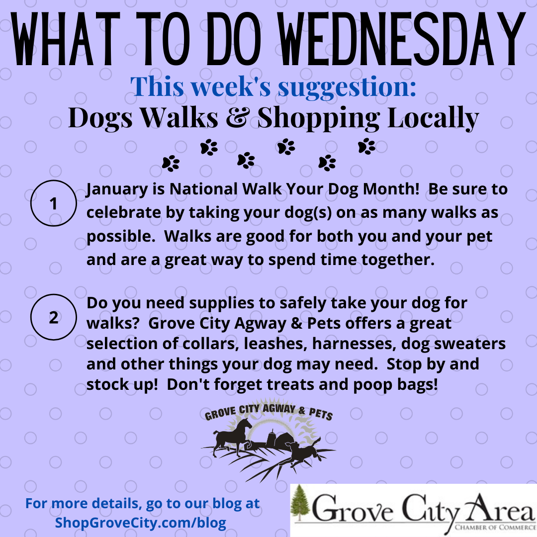 What To Do Wednesday: Dog Walks & Shopping Locally