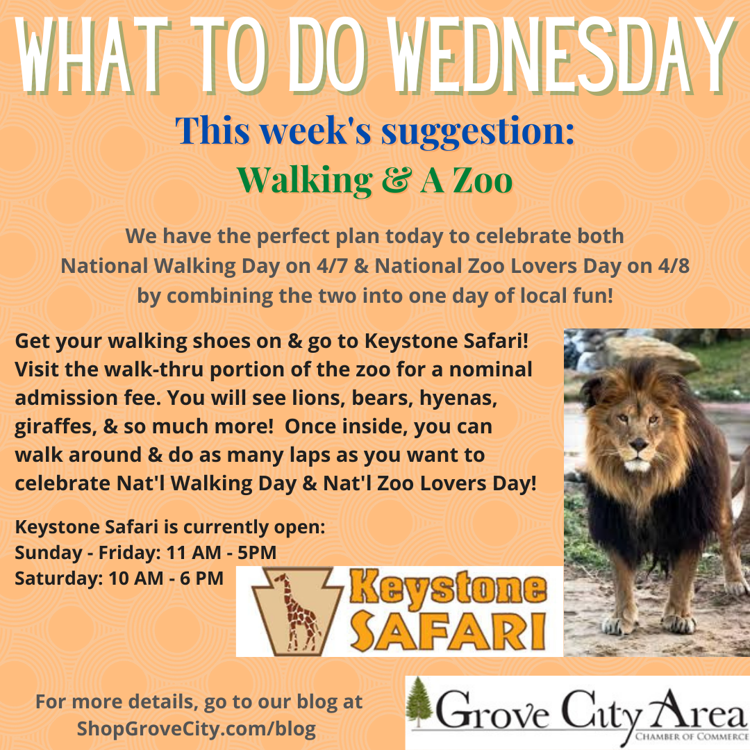 What To Do Wednesday: Walking & A Zoo