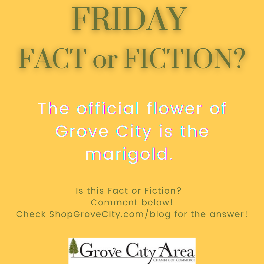 Friday Fact or Fiction #3