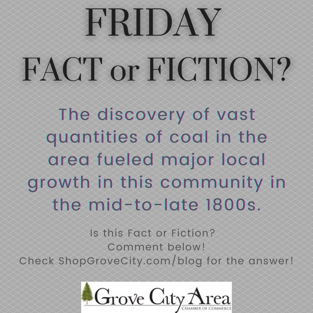 Friday Fact or Fiction #6