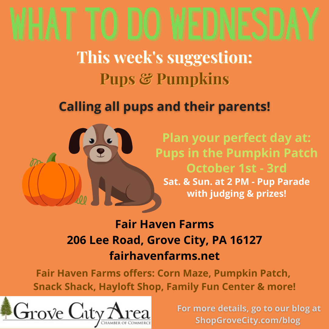 What To Do Wednesday: Pups & Pumpkins