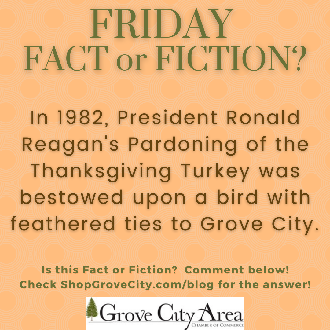 Friday Fact or Fiction #27