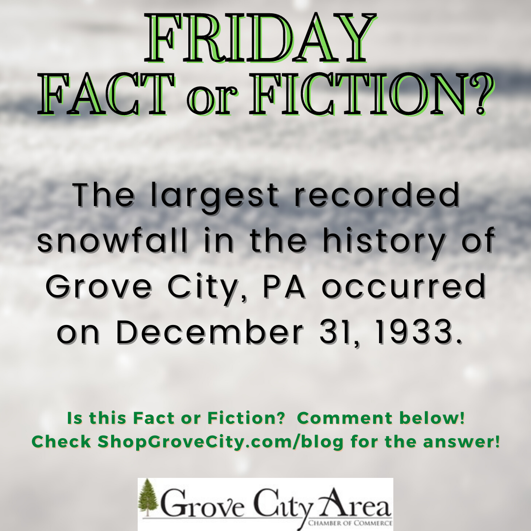 Friday Fact or Fiction #31